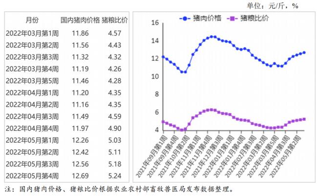 农业部最新猪价动态，市场走势分析与行业应对策略