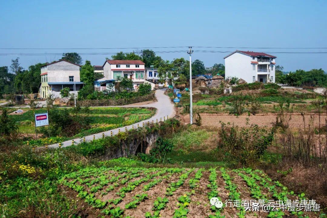 岳池县伏龙地区未来规划展望